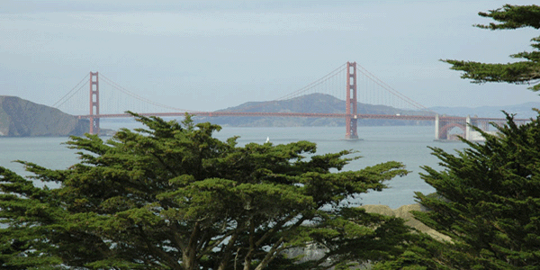 Le Golden Gate dans la baie de San Francisco