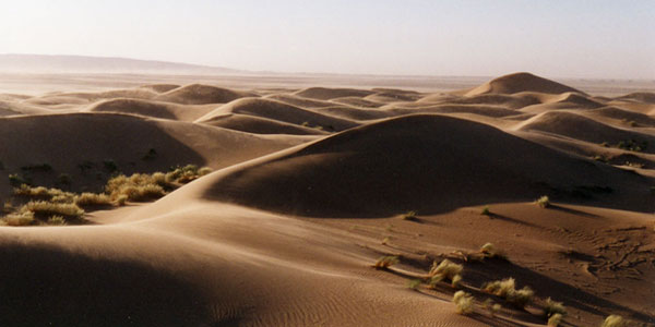 désert marocain - mhamid - les dunes au coucher du soleil