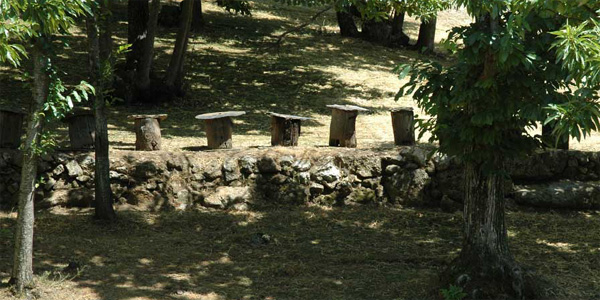 Les ruches troncs d'Arrigas dans les Cévennes