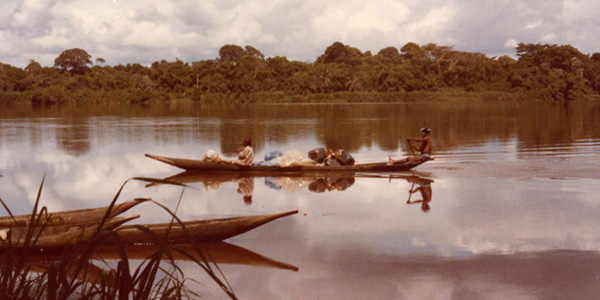 Cameroun - la remontée du Wouri