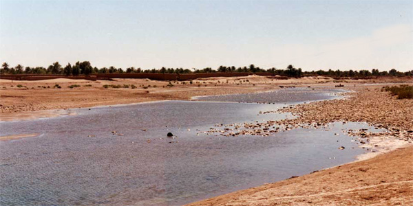 Maroc - Mhamid et le Draa qui se perd dans les sables