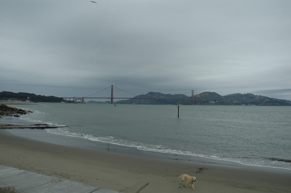 san francisco plages du Pacifique