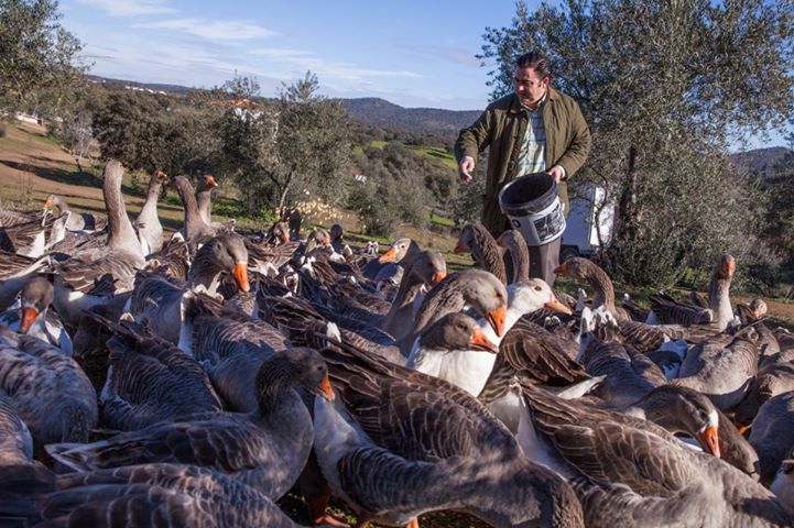 Eduardo Sousa - Ferme de production de Foie Gras