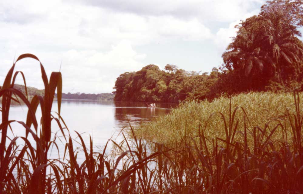 Carnets et photos de voyage Cameroun - le Wouri vers Yassem