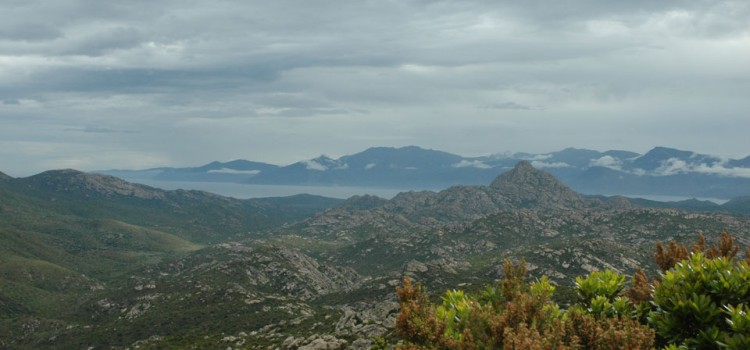 Le désert des Agriates en corse