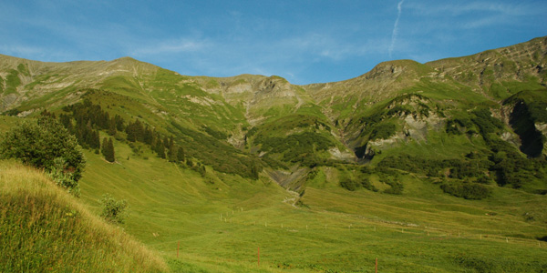 Domaine de la Sasse - l'alpage et la crête du Mont Joly