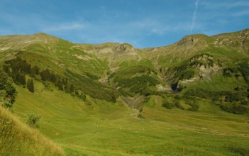 Le domaine de la Sasse et les bisons à Mégève