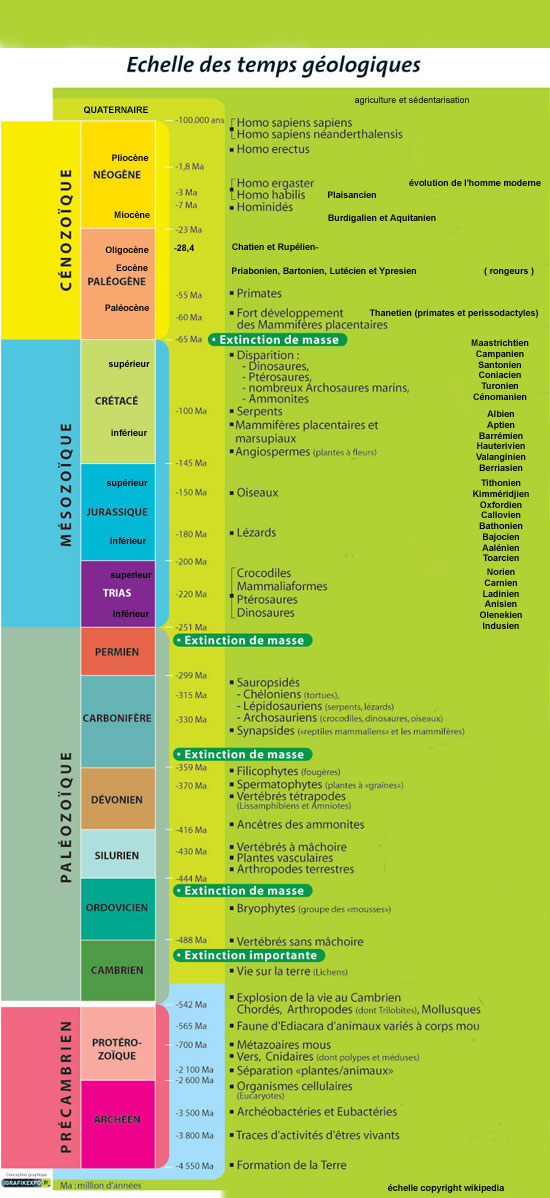 Echelle des temps géologiques