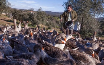 Le foie d'oie naturel façon Eduardo Sousa