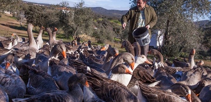 Le foie d'oie naturel façon Eduardo Sousa