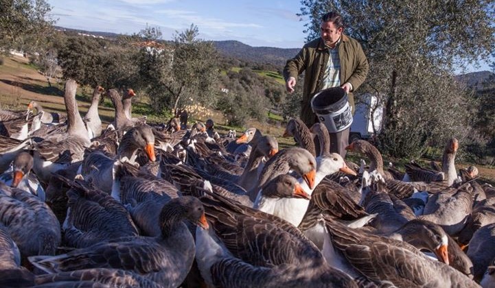 Le foie d'oie naturel façon Eduardo Sousa