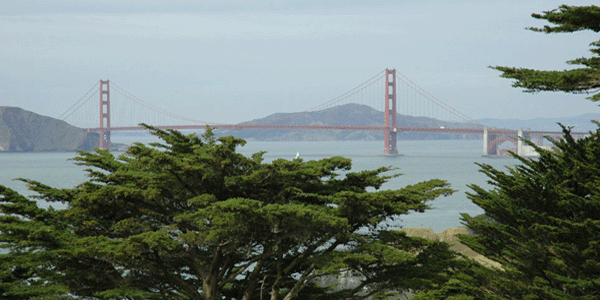 San Francisco – la baie et le Pacifique