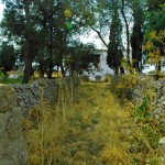 italie-pouilles-noci-2604