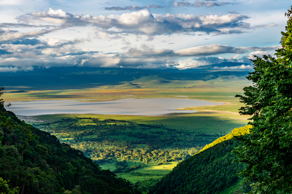 Tanzanie - parcs Nationaux : Ngorongoro