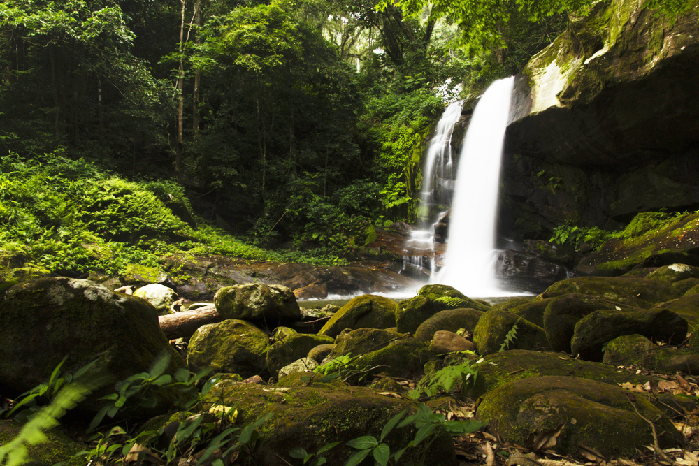 Tanzanie - parcs Nationaux : Udzungwa