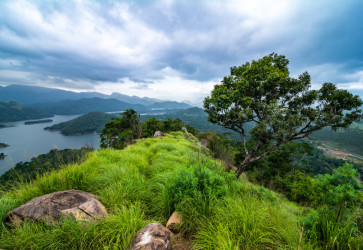 SRI LANKA : TREK ET NATURE