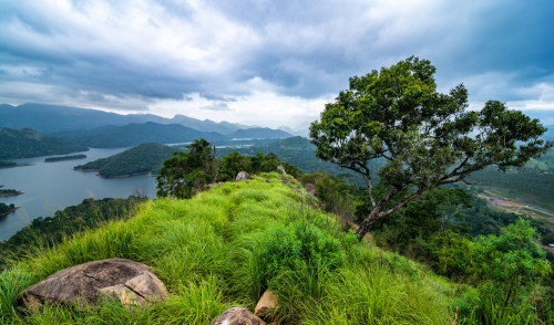 SRI LANKA : TREK ET NATURE