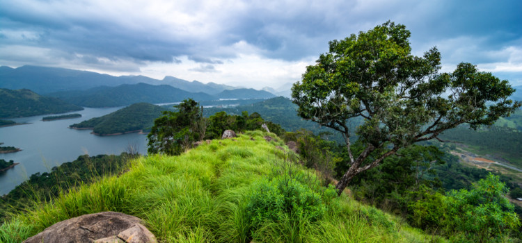 SRI LANKA : TREK ET NATURE