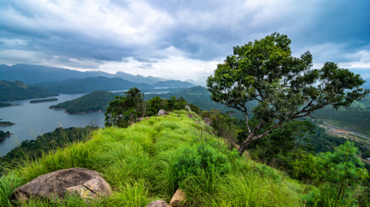 SRI LANKA : TREK ET NATURE