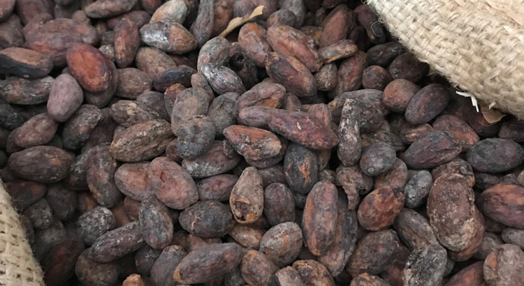 Découverte en Suisse : Chocolaterie ORFEVE CAROLINE ET SA CHOCOLATERIE