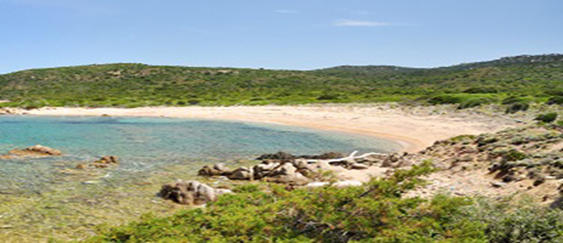 Croisieres de Jean - Croisière en Corse du Sud : Anse arbitru